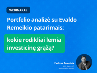 Portfelio analizė su Evaldo Remeikio patarimais: kokie rodikliai lemia investicinę grąžą?